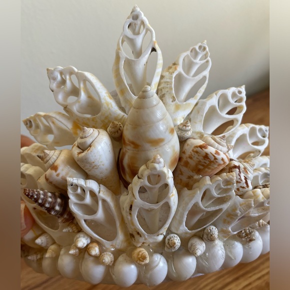 Vintage | Seashell Crown - Handmade - Picture 6 of 6